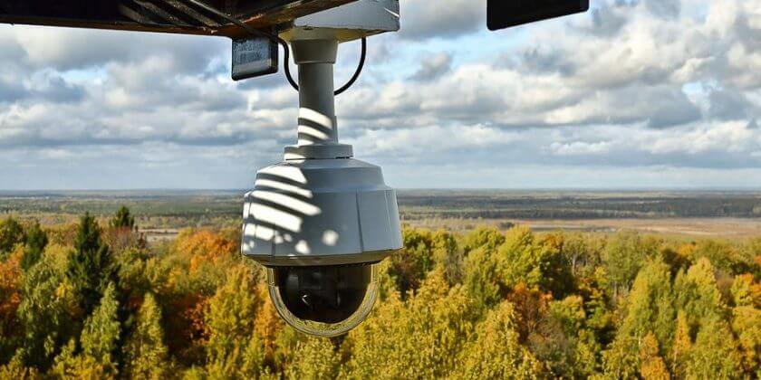Во всех лесах Беларуси до 1 марта 2024 года установят системы видеонаблюдения