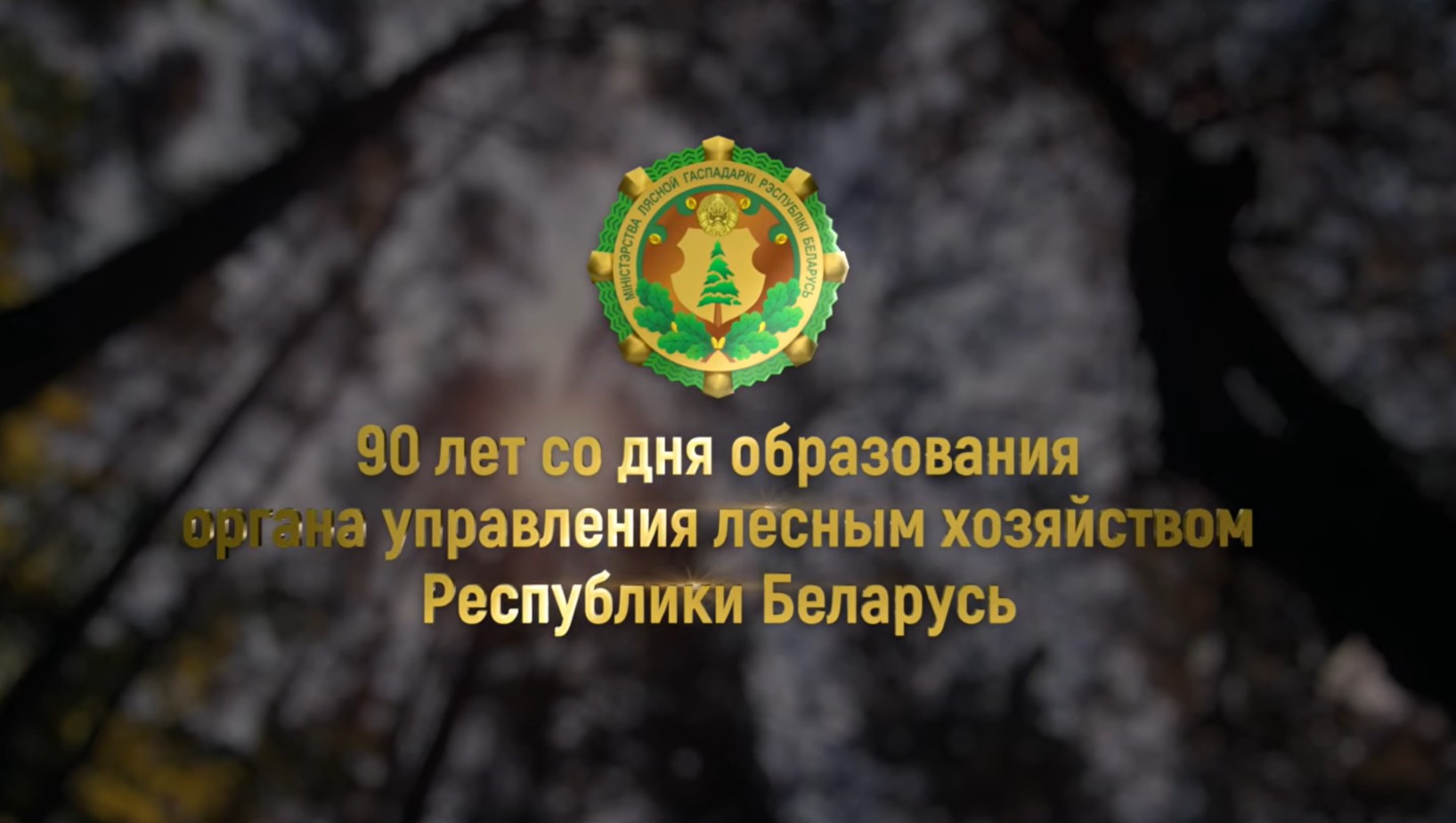Как менялось лесное хозяйство за 90 лет? 