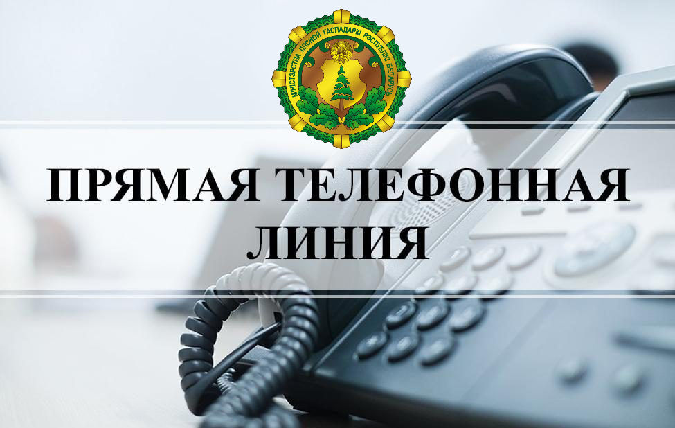 Минлесхоз проведет в июне прямые телефонные линии