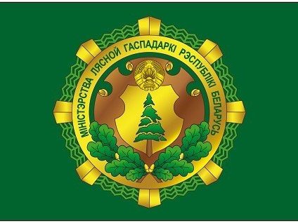 Правила охоты остаются прежними - Минлесхоз