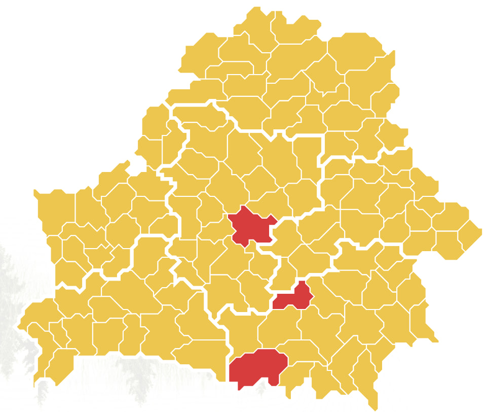 Первые запреты на посещение лесов введены в Беларуси