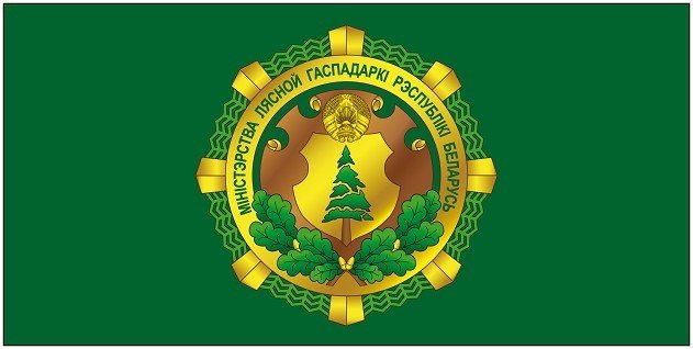Президент поздравил работников лесной отрасли с профессиональным праздником