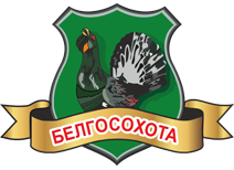 “Предупредить выход в деревни и города”. Почему в Беларуси теперь можно охотиться на рысь и медведя