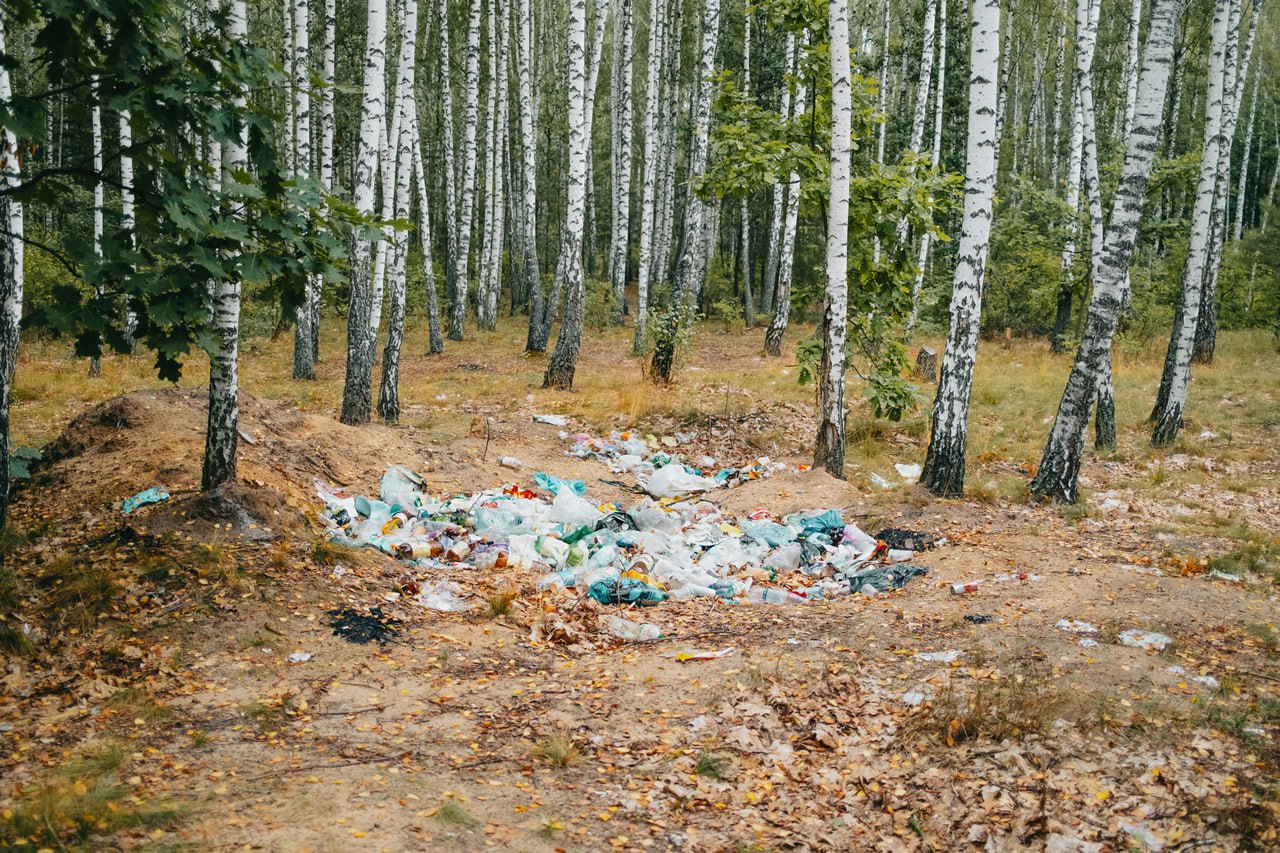 Более 200 человек привлекли к ответственности за загрязнение лесов с начала года - Минлесхоз