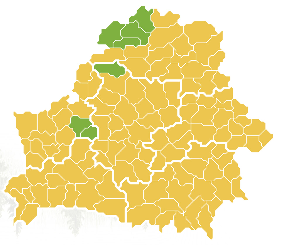 В Беларуси начали вводить ограничения на посещение лесов