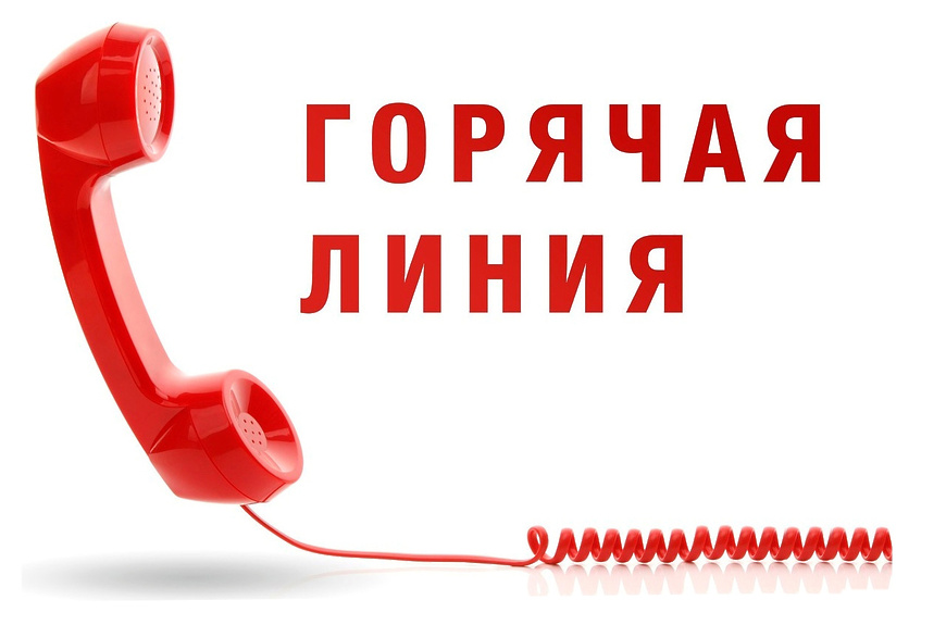 Минлесхоз запустит горячую телефонную линию по вопросам наведения порядка в лесу